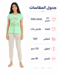 PRD-0543 - صورة المنتج 1