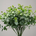 أخضر
