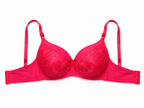 Women's Padded Bra with Lace Detail and Adjustable Straps | Daily Wear, Lace Embroidery, Adjustable Straps, Soft Padded Cup, Purple – صورة 3