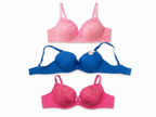 Women's Padded Bra with Lace Trim & Adjustable Straps | Daily Wear, Soft Padded Cup, Multiple Colours, Feminine Design, Comfortable Fit – صورة 2
