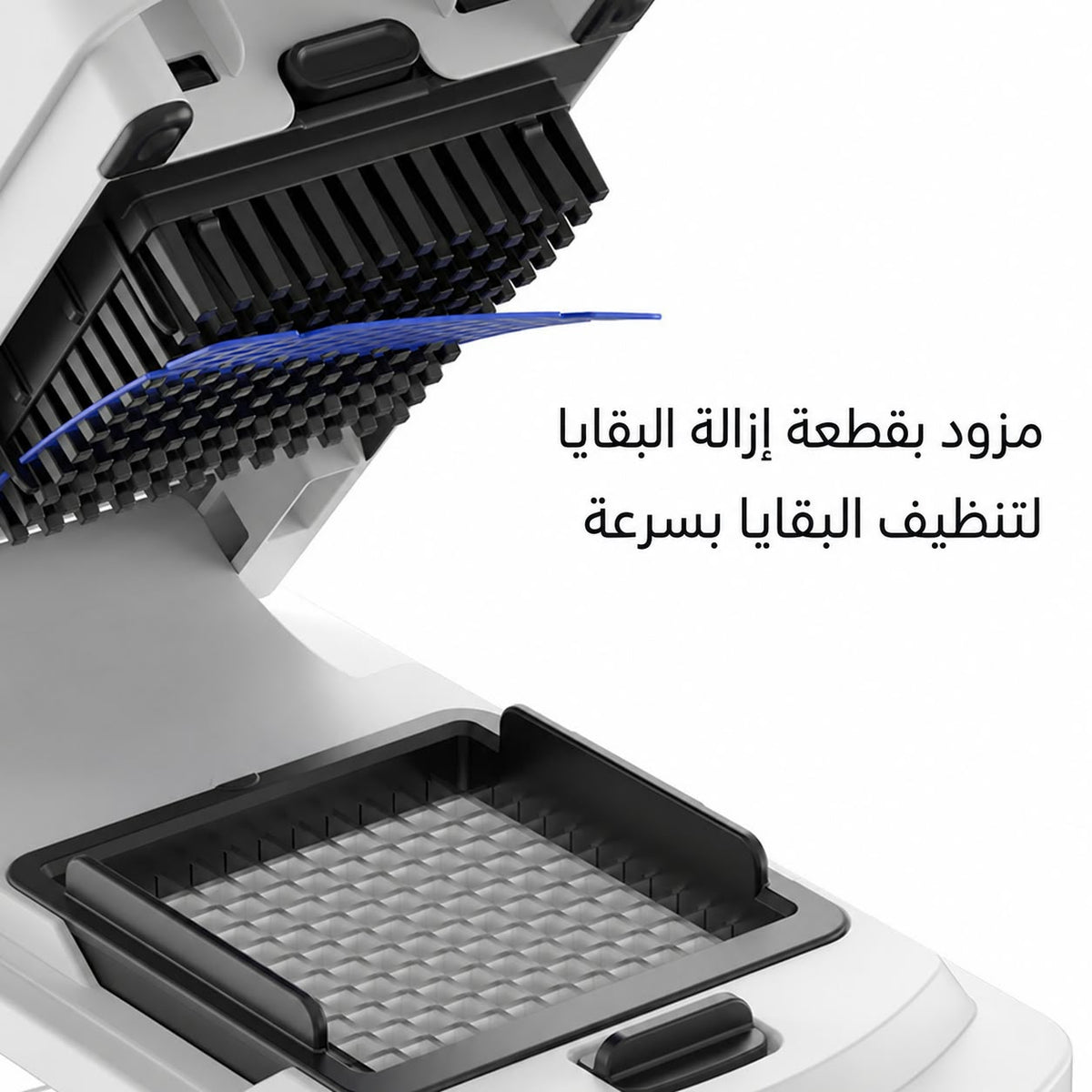 أبيض