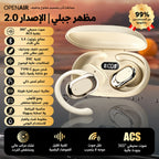 بيج