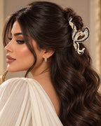 أسود